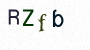 Visual Confirmation Security Code
