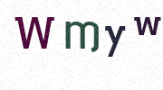 Visual Confirmation Security Code
