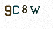Visual Confirmation Security Code