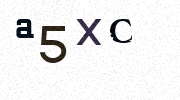 Visual Confirmation Security Code