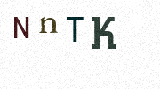 Visual Confirmation Security Code